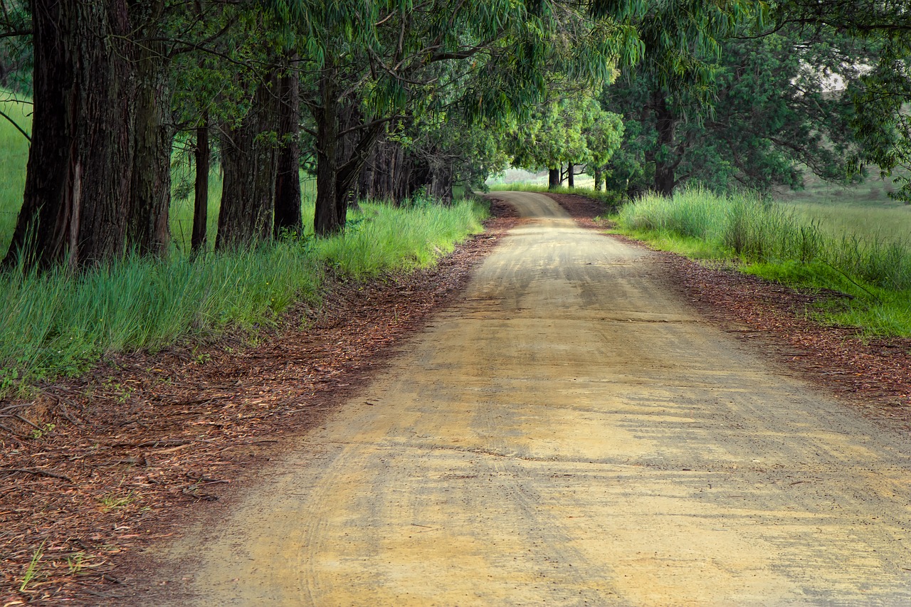 road, direction, path-1894938.jpg